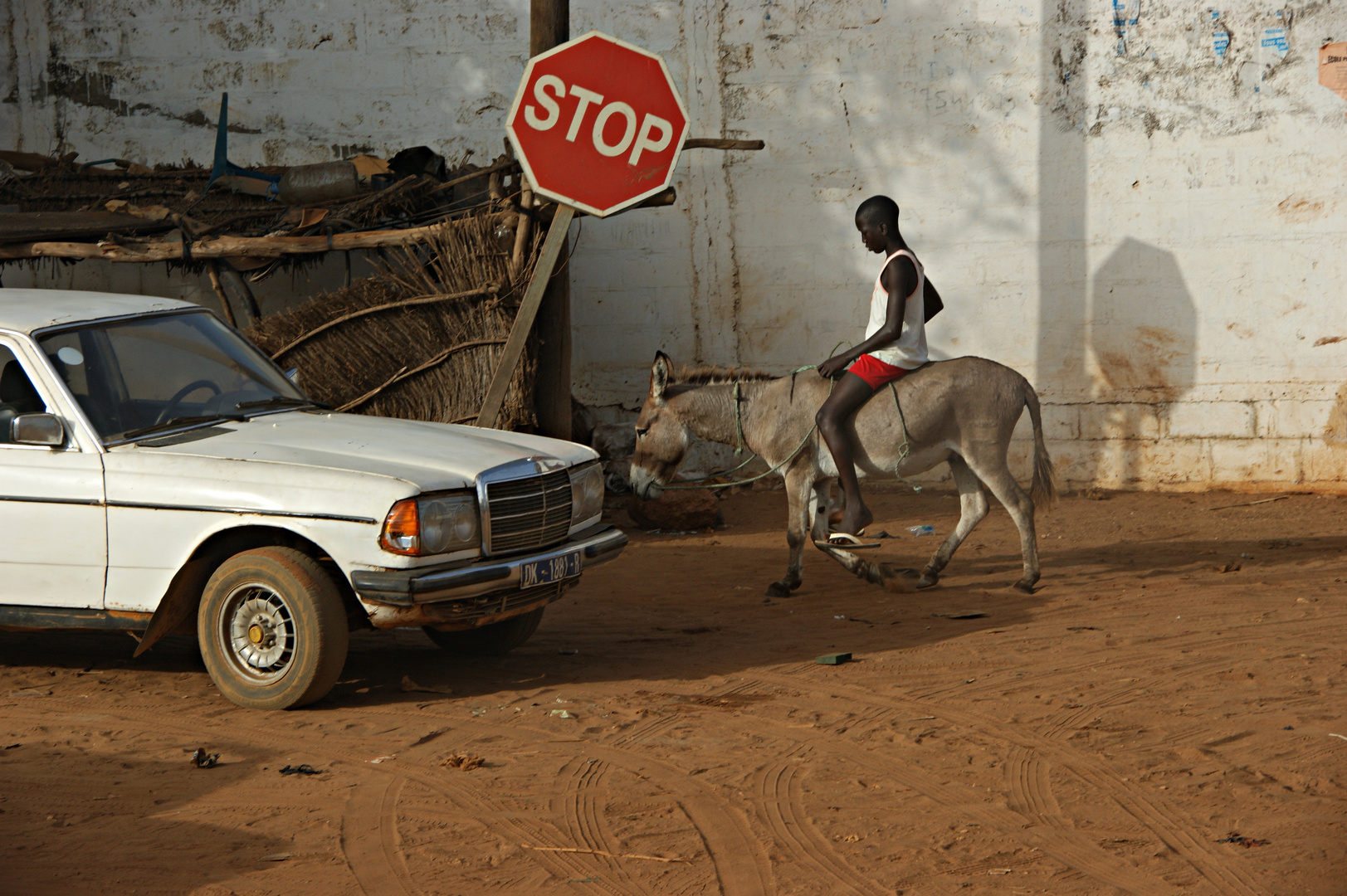 Afrikanische Gegensätze