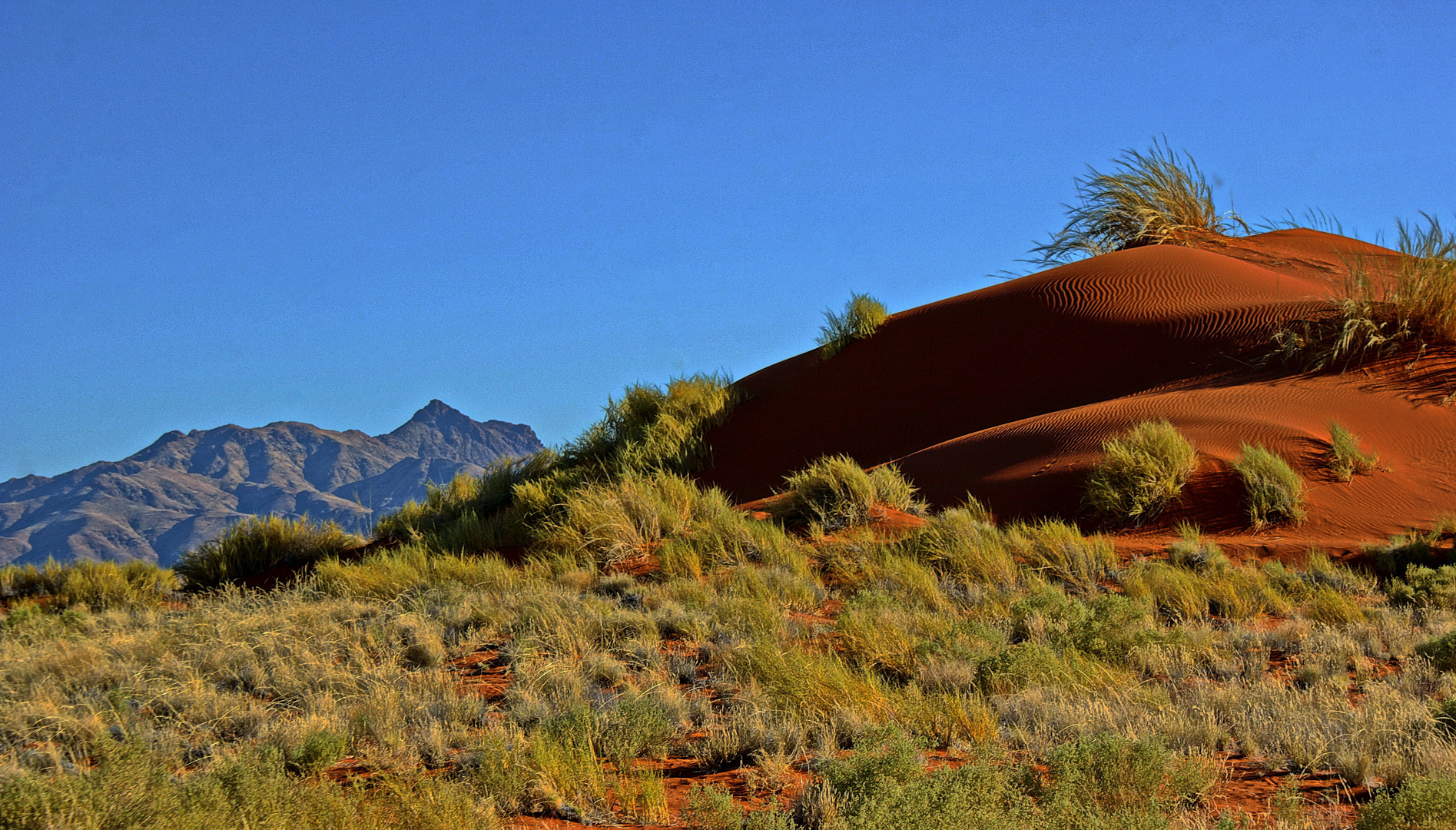 Afrikanische Landschaft