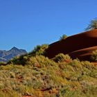 Afrikanische Landschaft