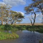 Afrikanische Landschaft in Kenia