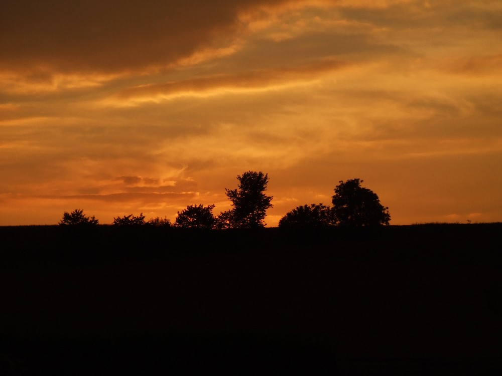 Afrikanische Landschaft? ...wieder Niederbayern