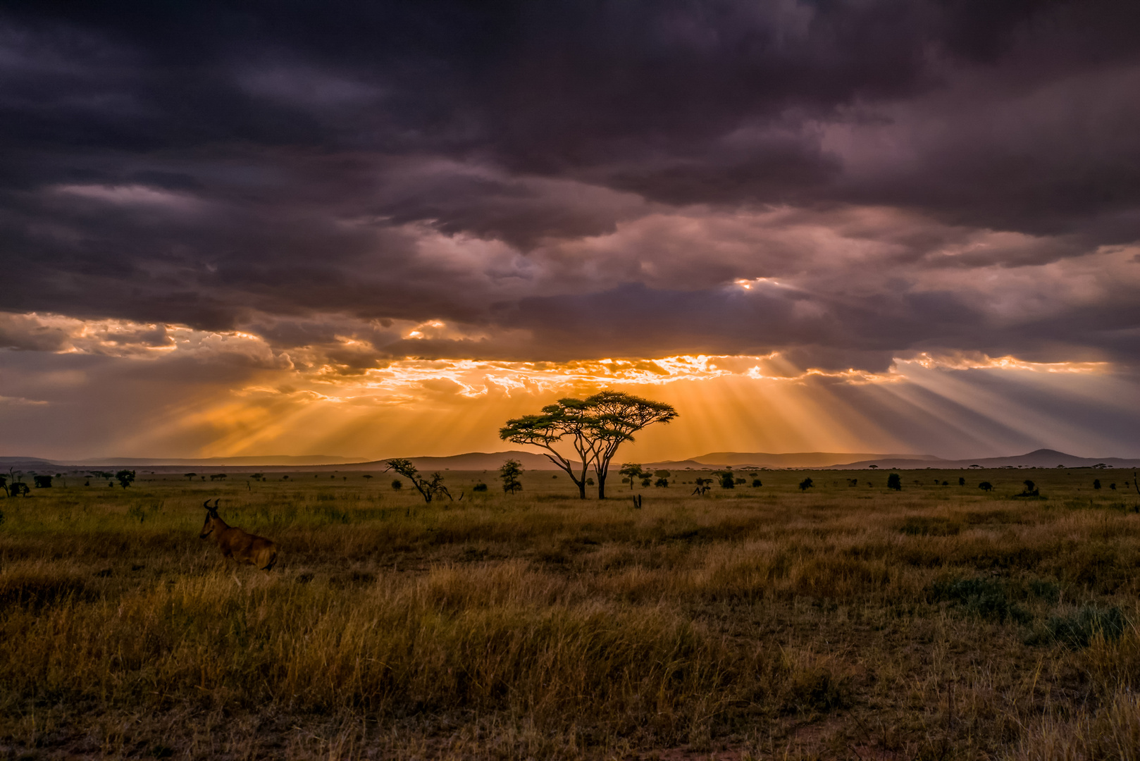 Afrikanische Landschaftsstimmung