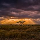 Afrikanische Landschaftsstimmung