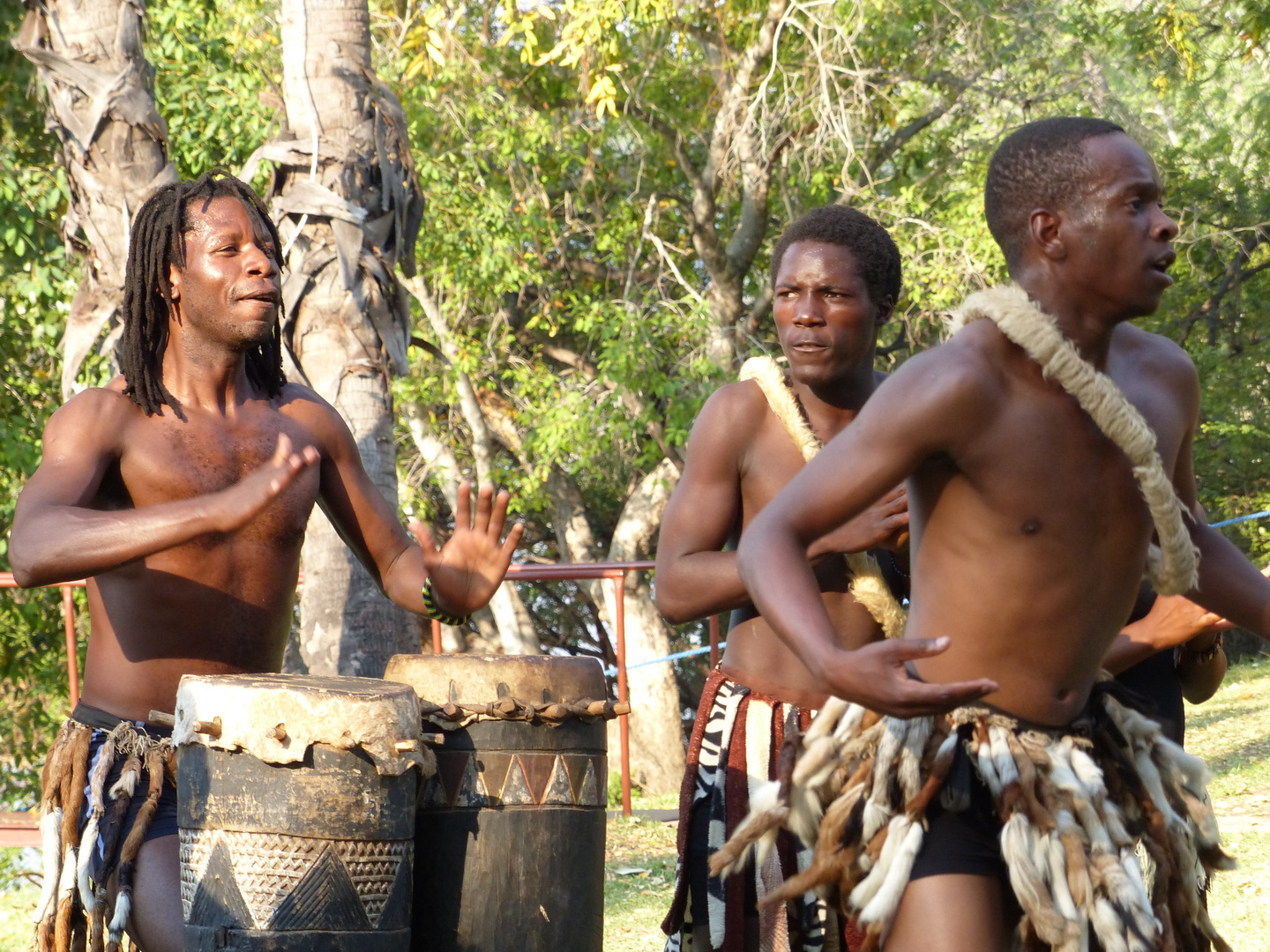 Afrikanische Rhythmen ...