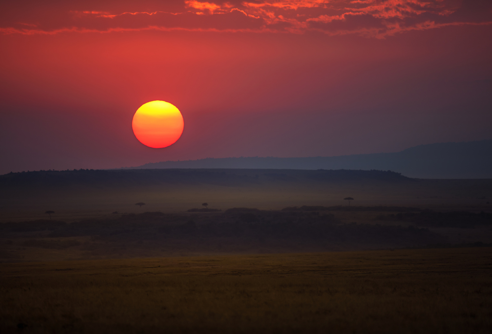 Afrikanische Sonne.