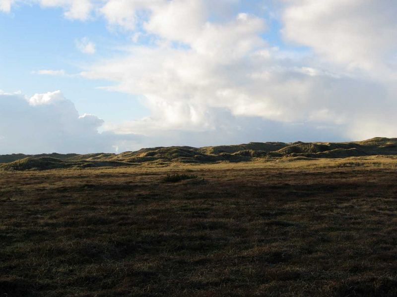 Afrikanische Steppe oder Dänemark?