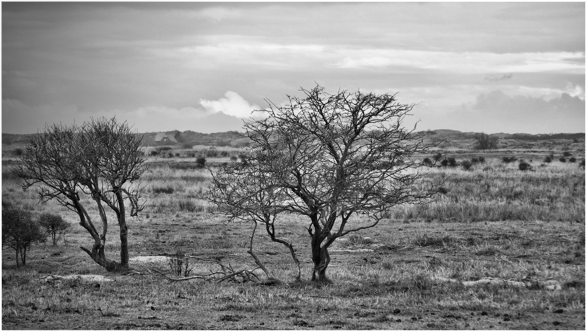 Afrikanische Steppe ... von wegen PC140679