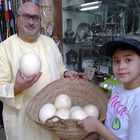 Afrikanische Straußeneier / Ostrich Egg-shell. Souk Al Arsah, Sharjah, Vereinigte Arabische Emirate