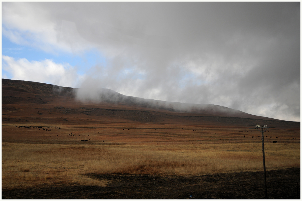 afrikanische Winterlandschaft