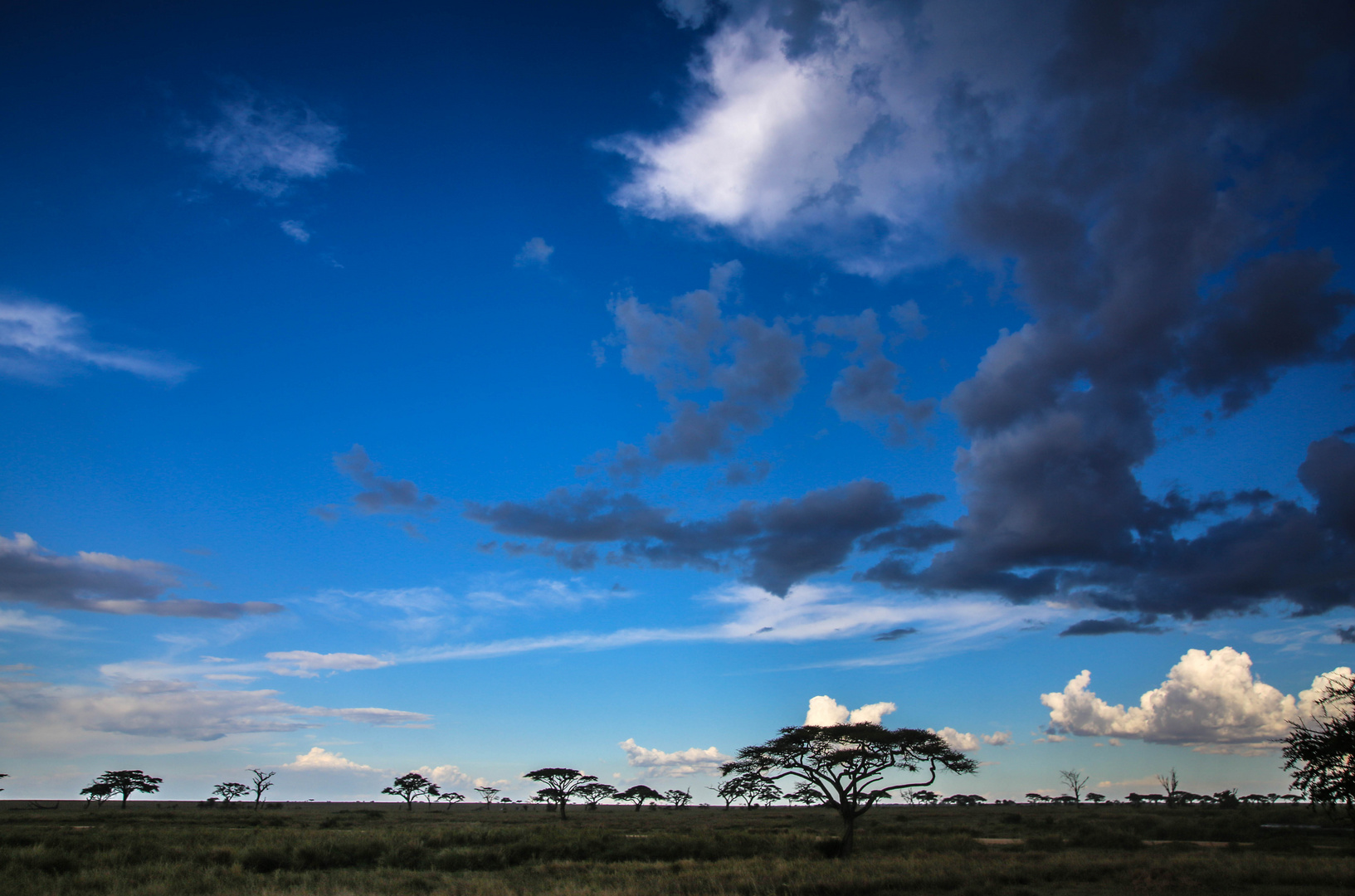 Afrikanischer Himmel