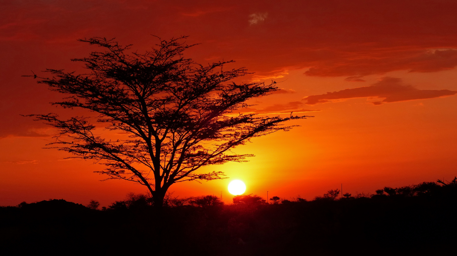 afrikanischer Sonnenuntergang