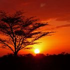 afrikanischer Sonnenuntergang