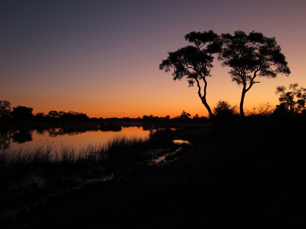 Afrikanischer Sonnenuntergang, Botswana