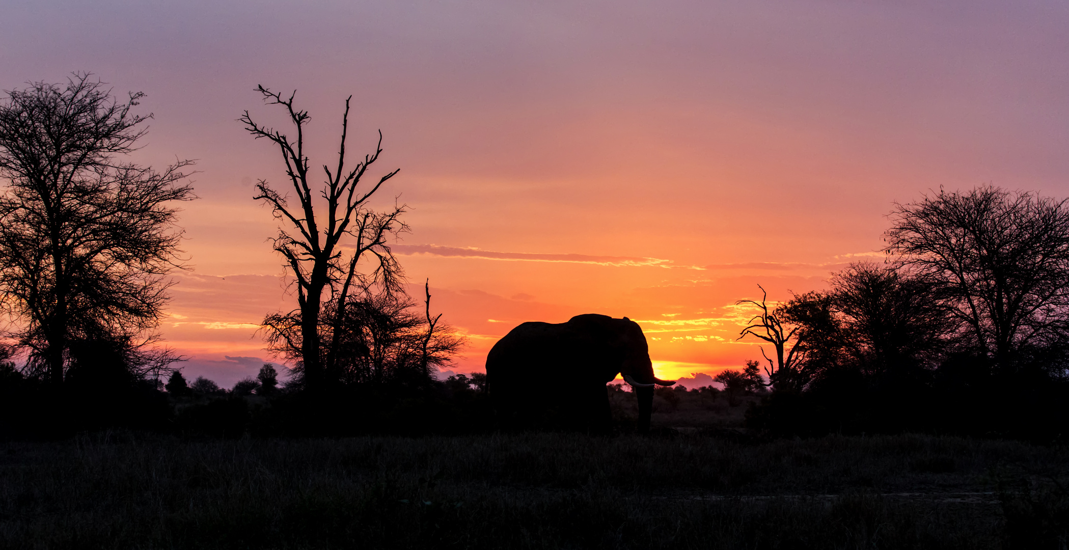 Afrikanischer Sonnenuntergang