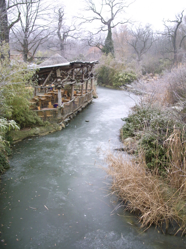 Afrikanischer Winter