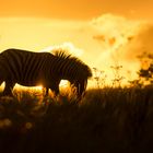 Afrikas Sonnenuntergänge