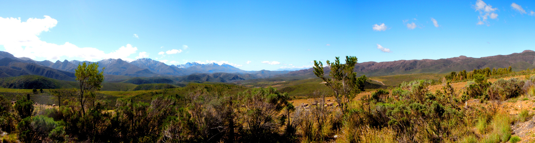 Afrique du Sud