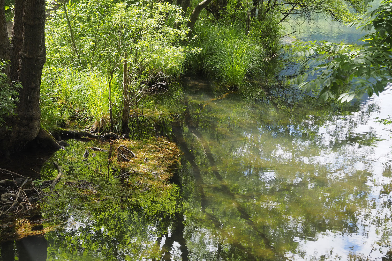 Afritzsee Spiegelung