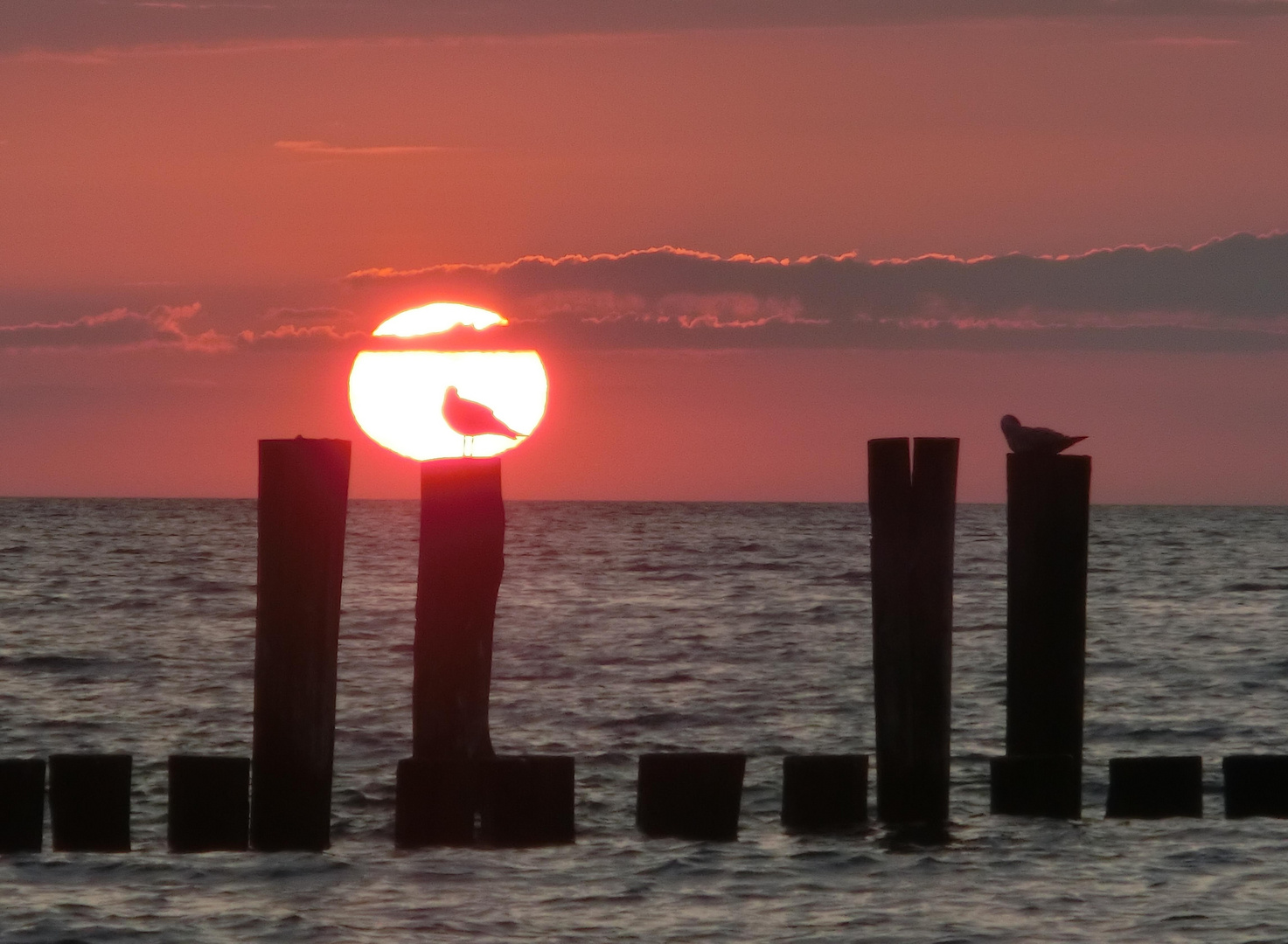 Afrizingst