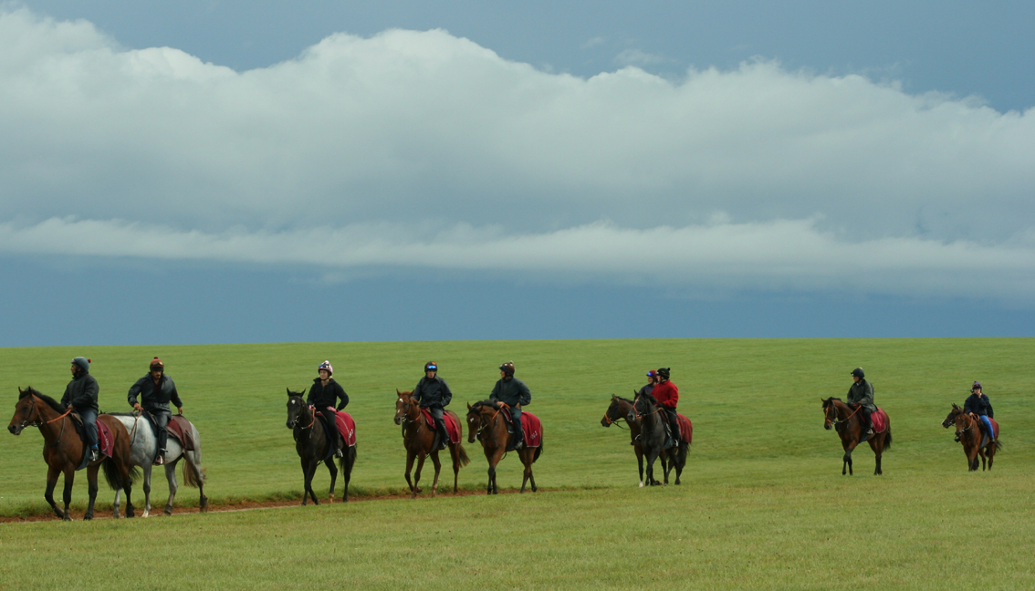 after a gallop