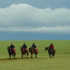 after a gallop