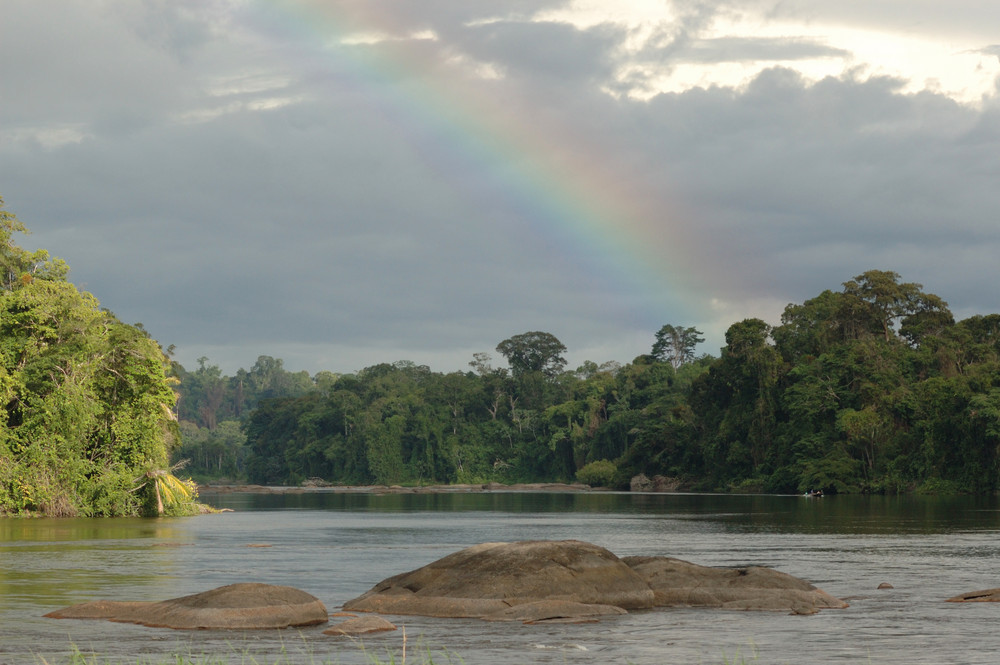 After a heavy rain...