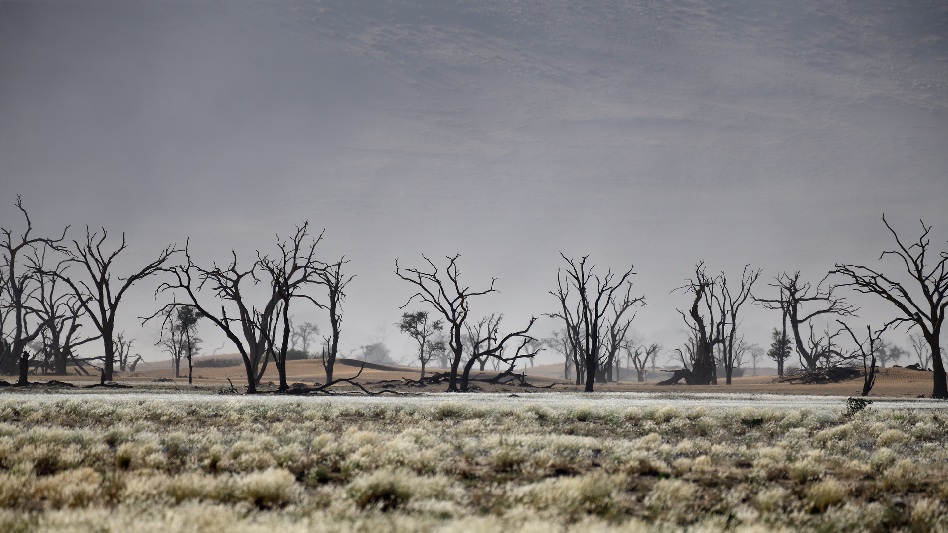 After a sandstorm