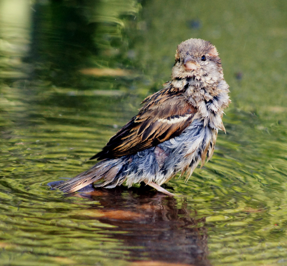 After bathing