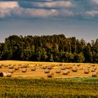 After Harvest