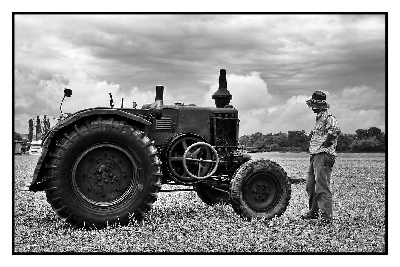 after harvest