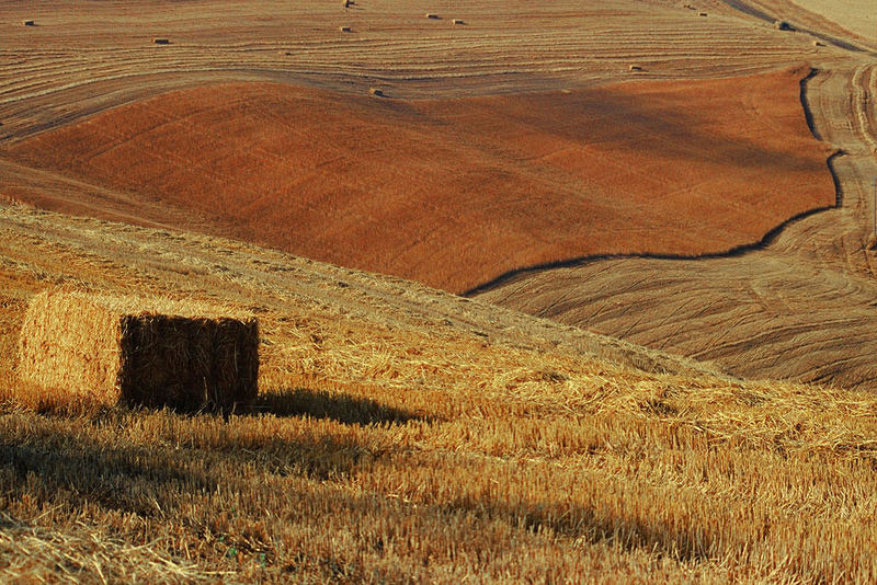 after harvest