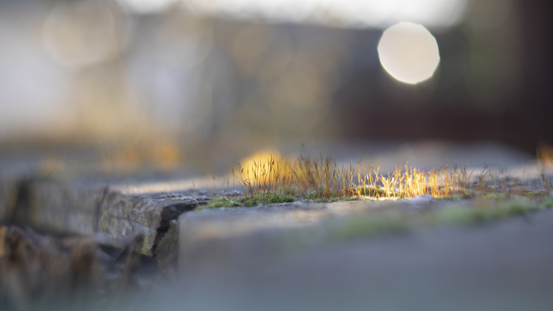 After many days of rain and bad weather condition the bright sun was looking down to earth.