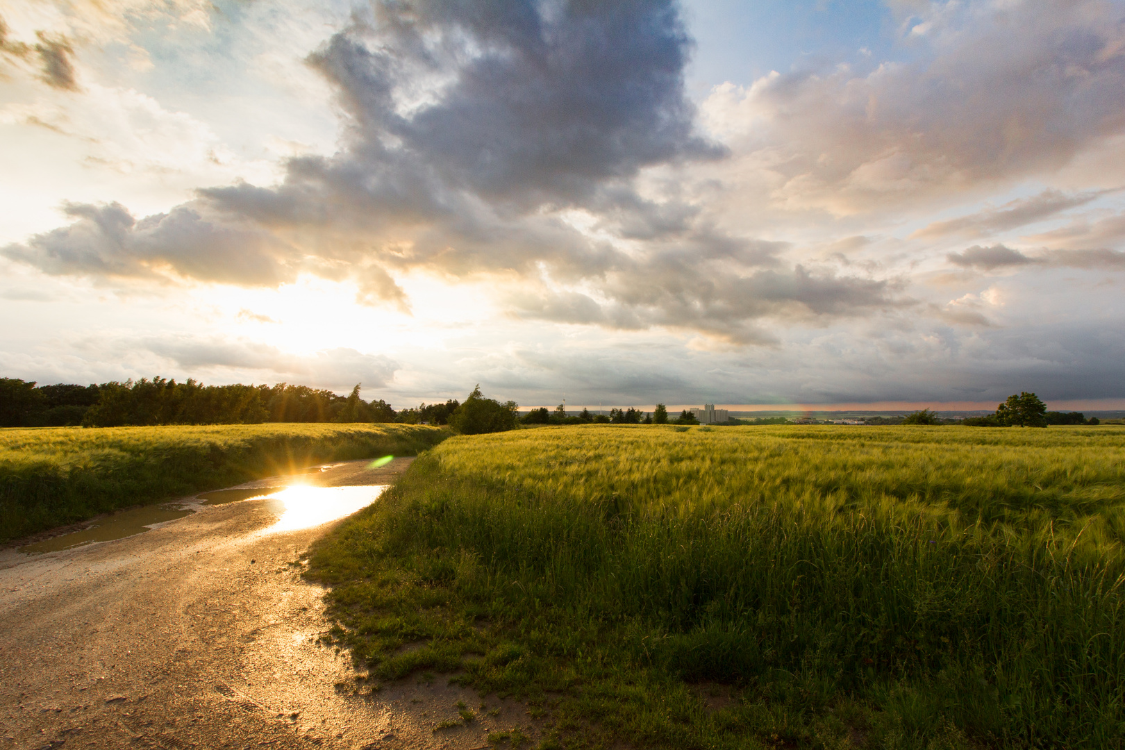 After rain