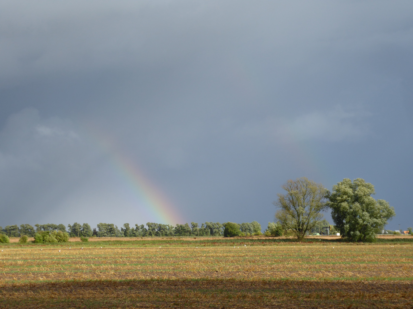 After rain... 