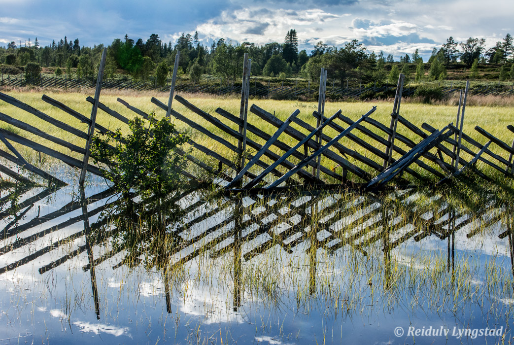 After rain