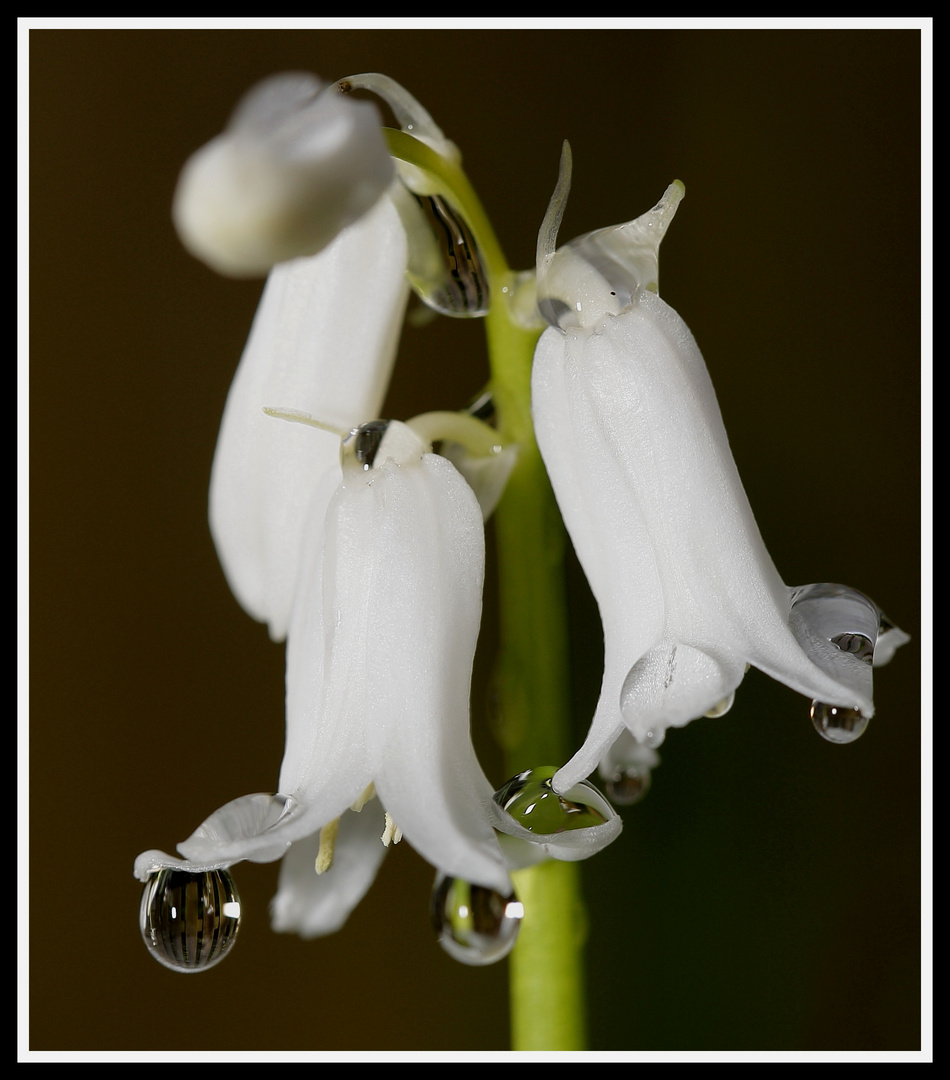 "After Rain"