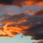 After Rain at Death Valley 