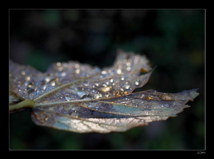 After Rain