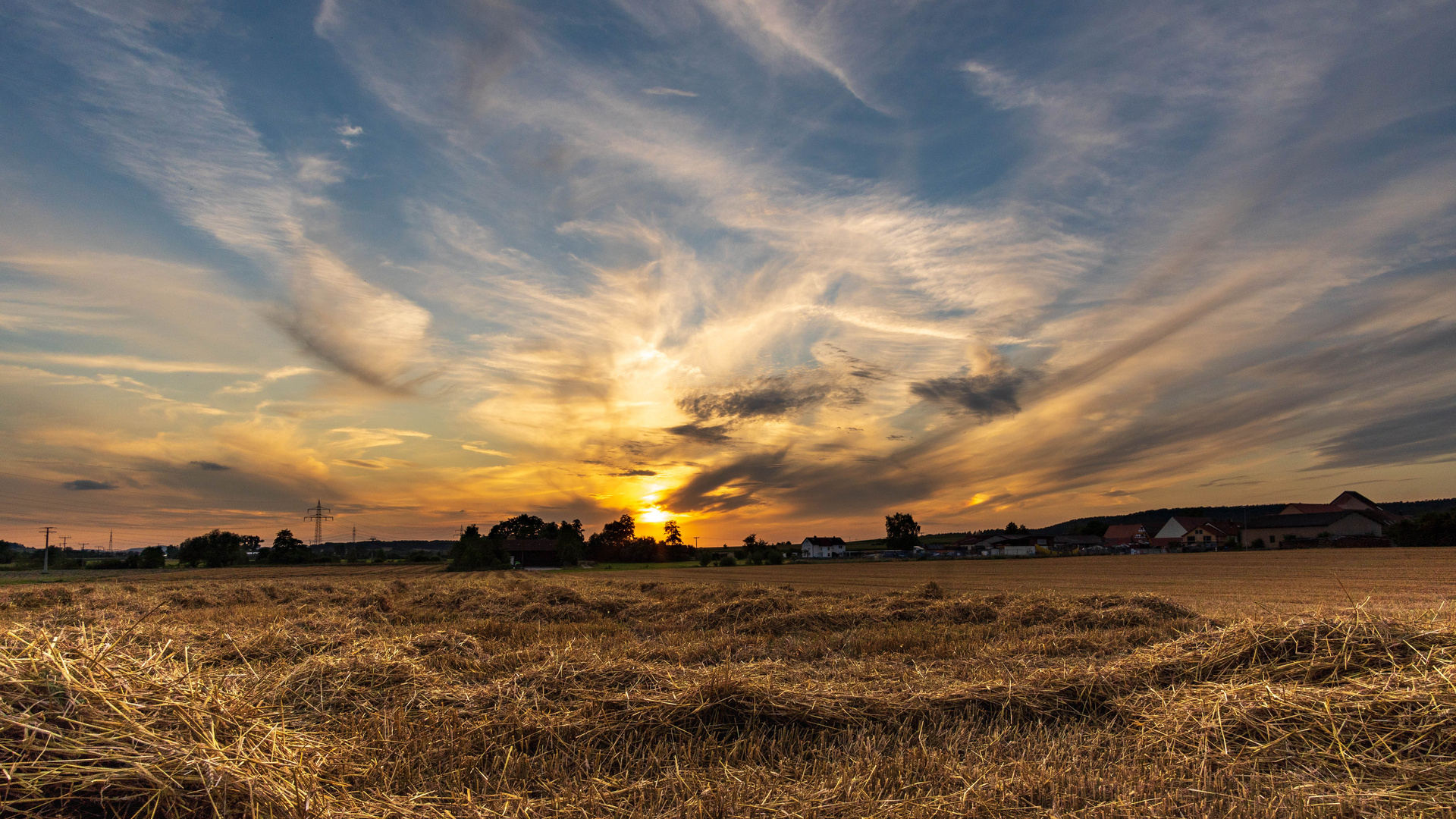 After the harvest