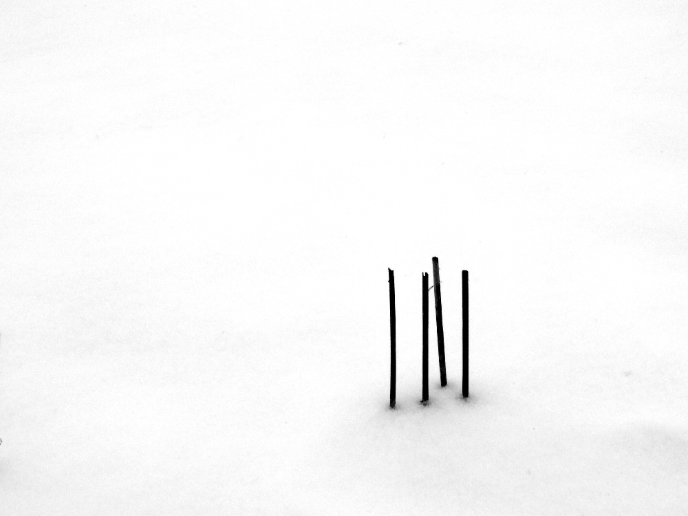 after the harvest....february minimalism