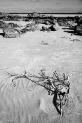 After the low tide is before the high tide
