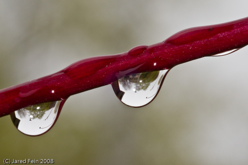 After the Rain