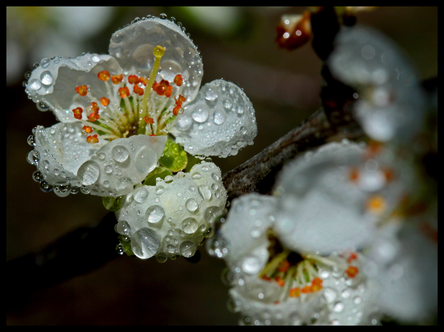 After the rain