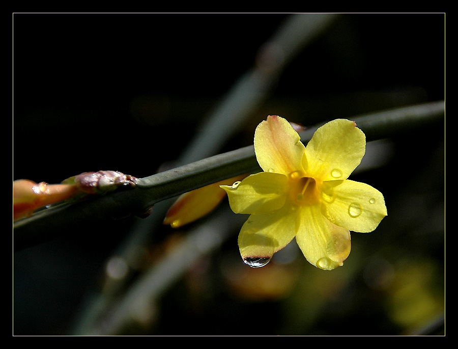 After the Rain