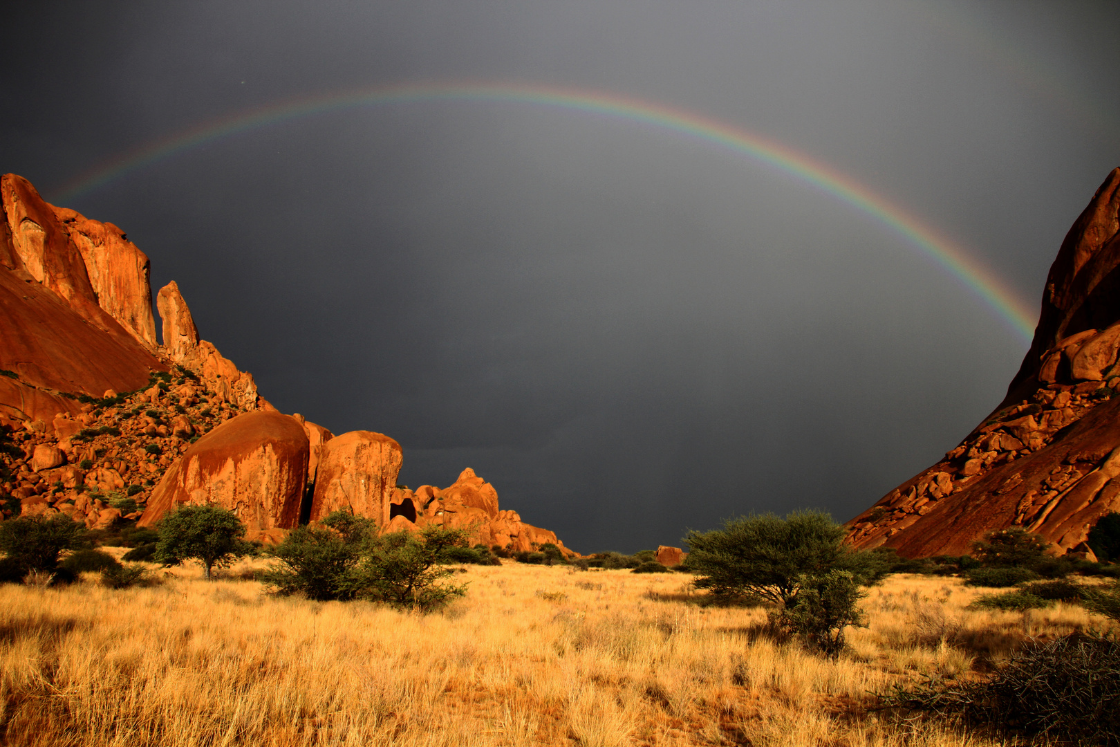 after the rain