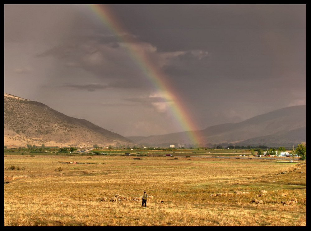 After the rain