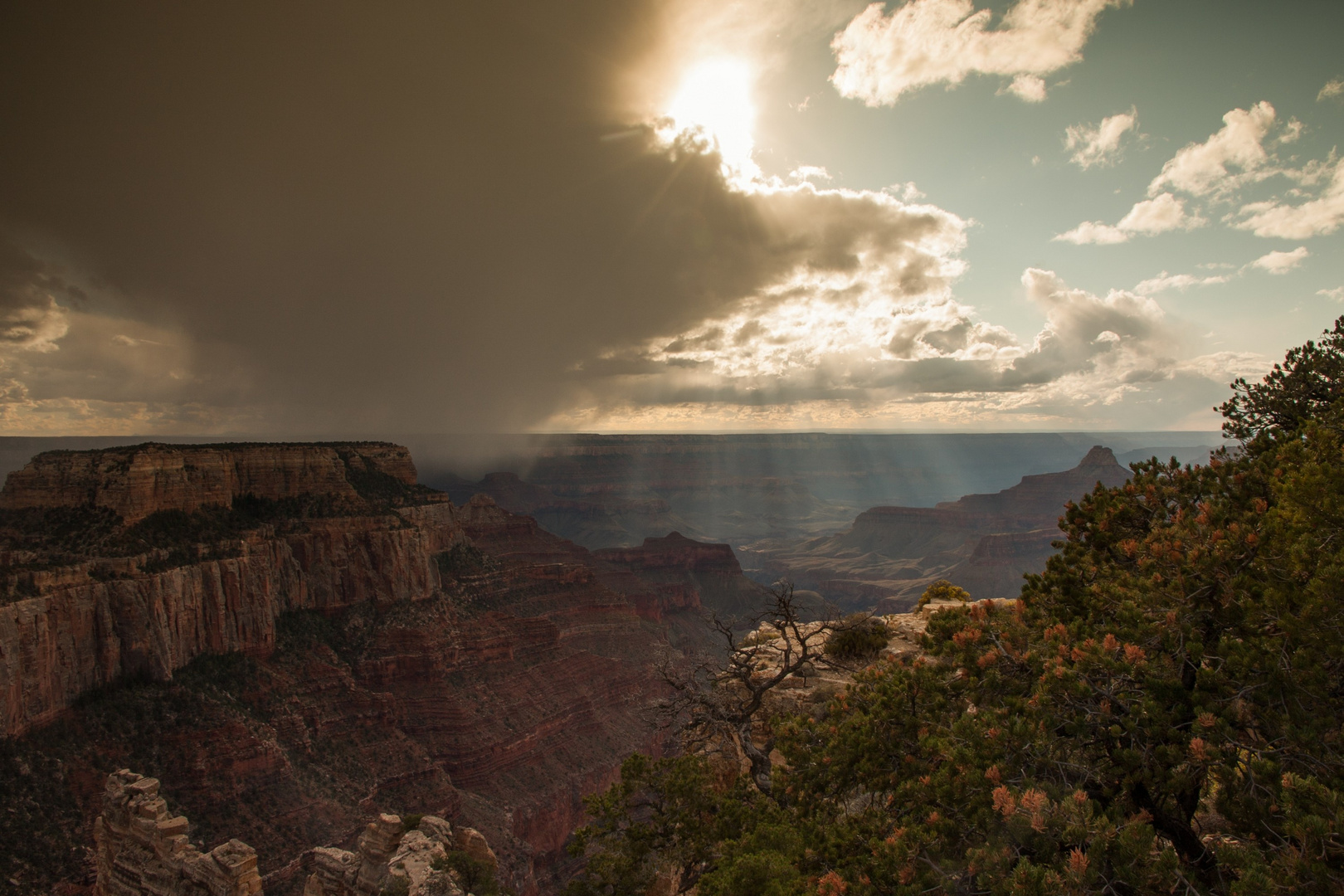 After the rain