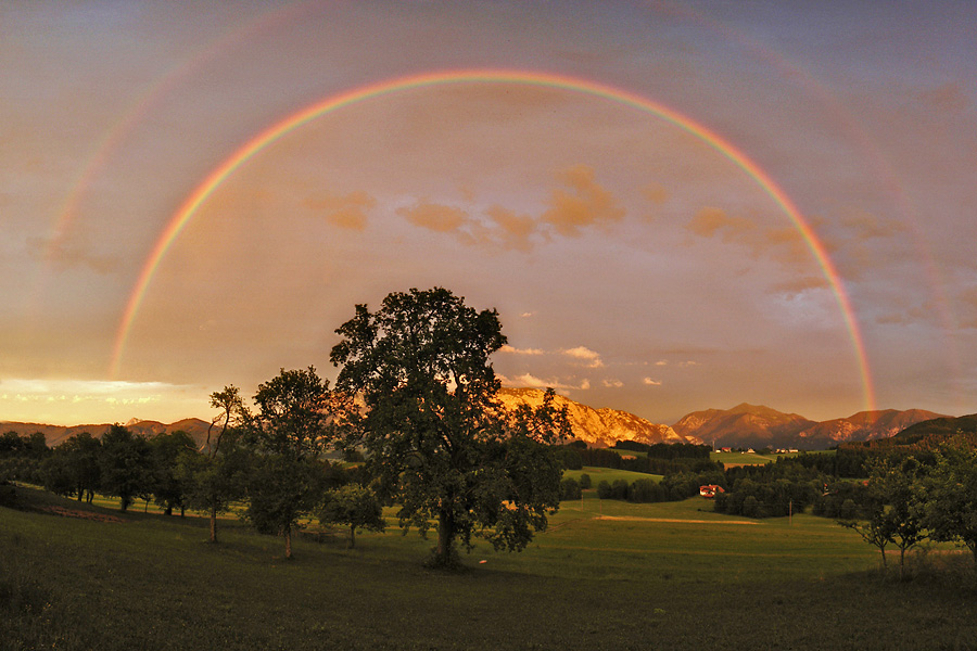 After the rain