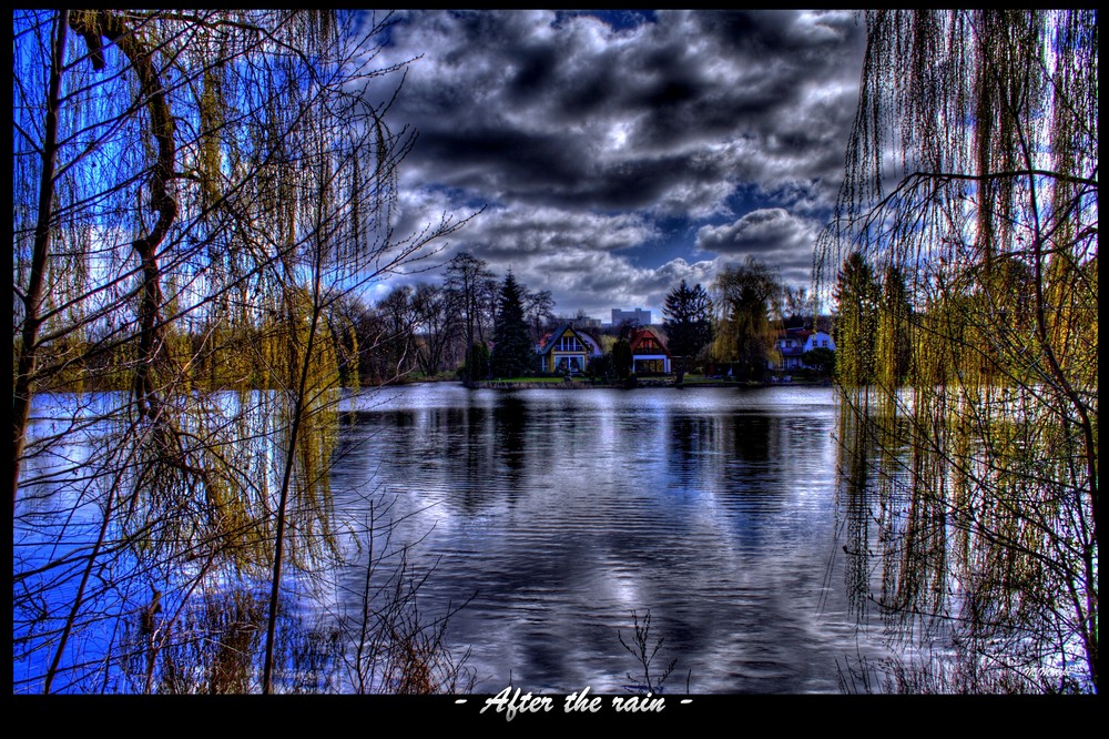 after the rain by Marco Mutzke 