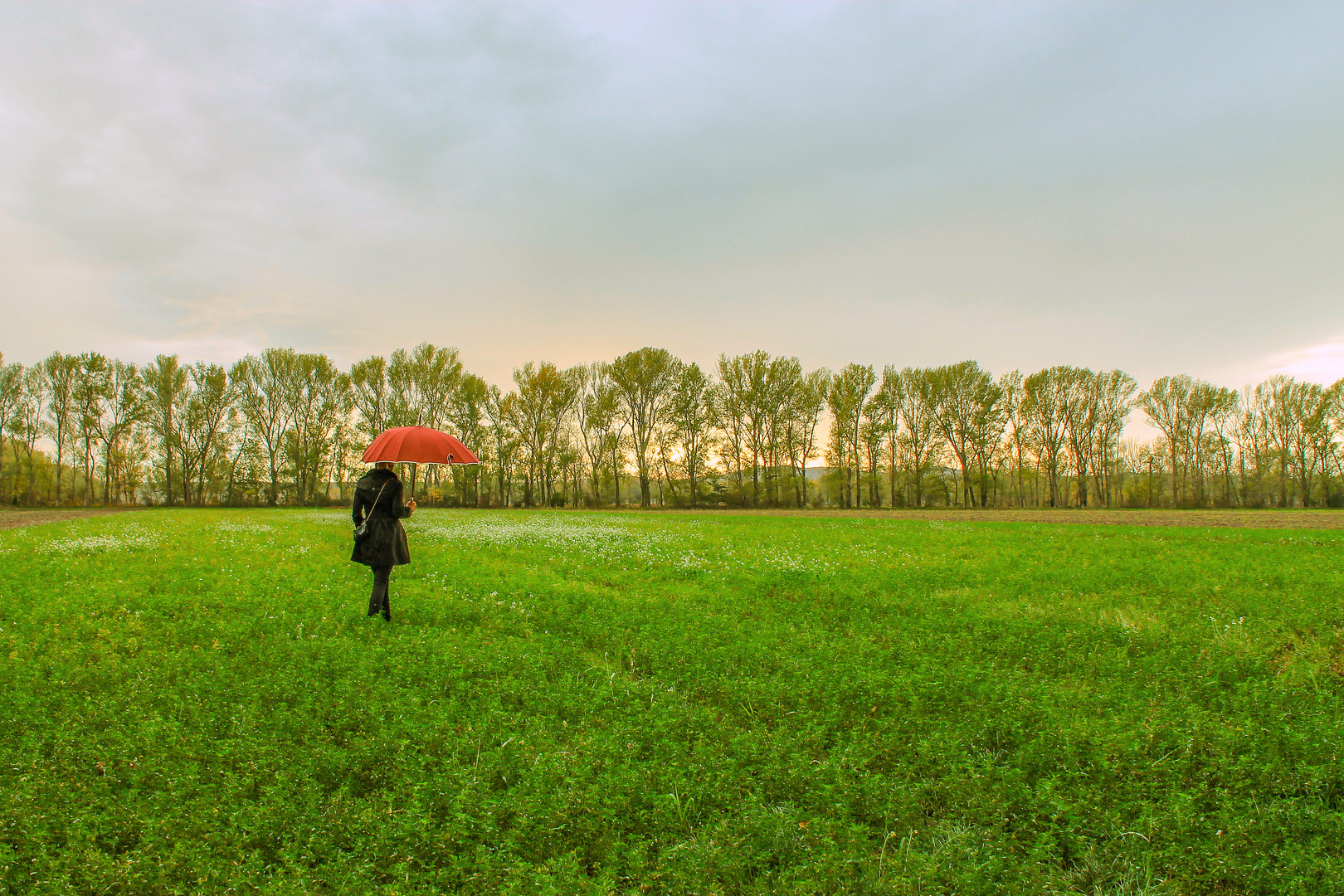 After the rain